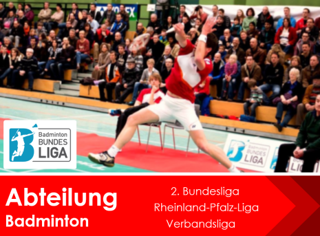 Abteilungshomepage SV Fischbach Badminton
